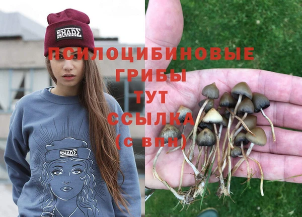 скорость Балабаново