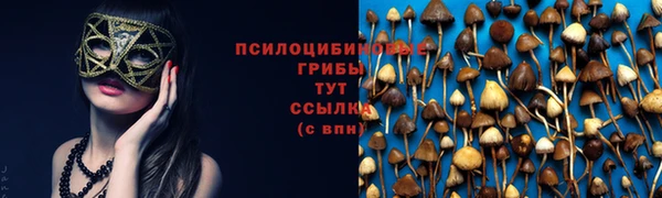 твердый Нея