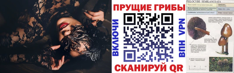 Галлюциногенные грибы ЛСД Зверево